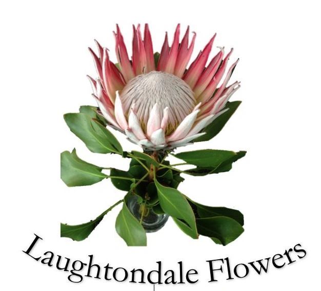 Dangar Island community sponsor 1